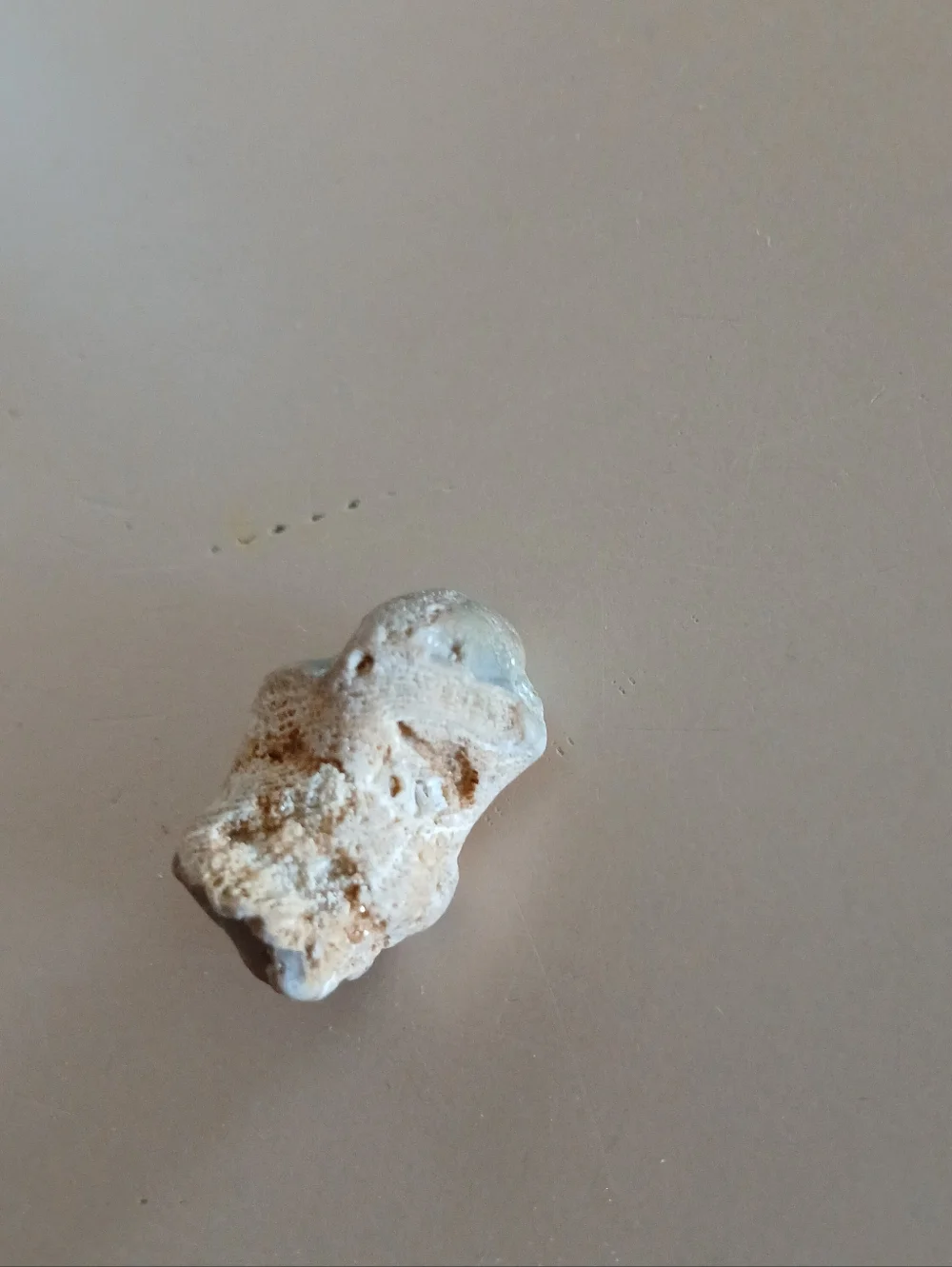 Fossil Collection - Picture 4 of 14